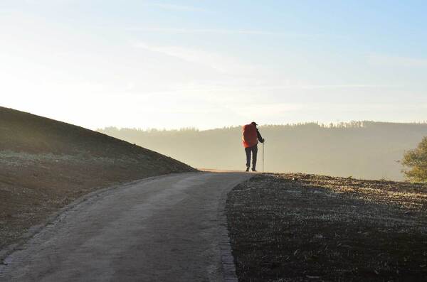 The Pilgrim's Path