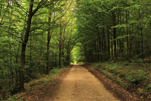 Hospitality as a Spiritual Practice