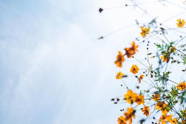 Healing and Wholeness