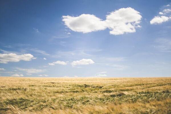 Creativity, Writing, and Spiritual Practice in a Divided World