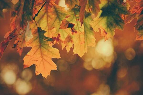 Growing in God's Love