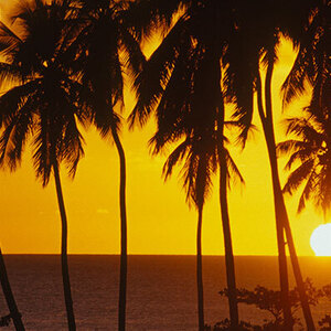 Five-Day: Guaynabo, Puerto Rico