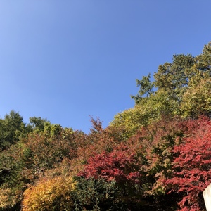 Five-Day: Korea - General Board of Education (previously Yeonsoowon)